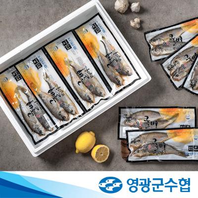 [영광군수협] 법성포 진공굴비 10팩 1.4kg(20마리)